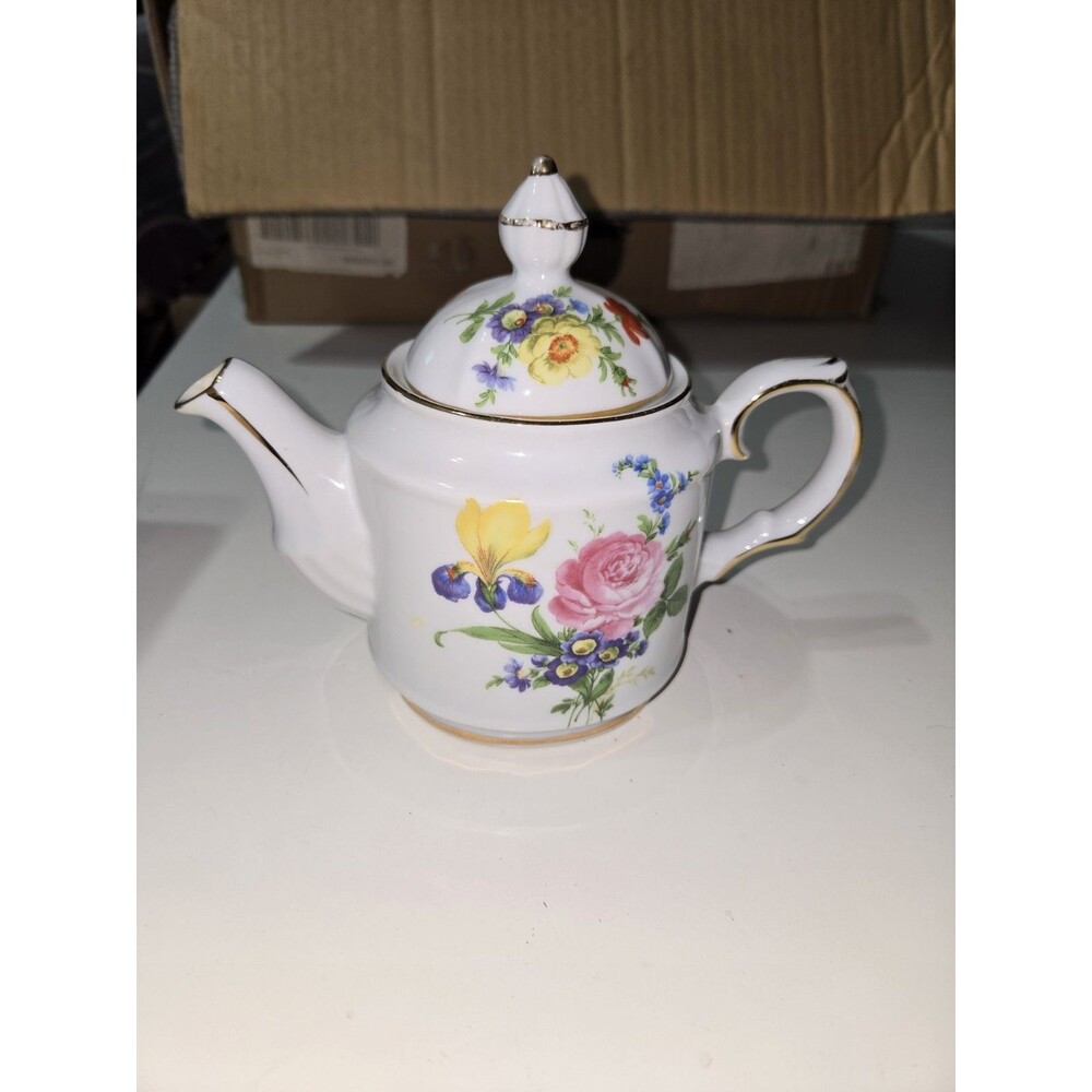 Vintage Stafordshire Royal Danube Small Teapot White Floral